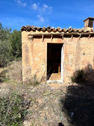Terreno en Llucmajor con caseta de aperos