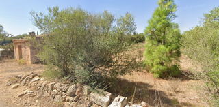 Terreno en Llucmajor con caseta de aperos
