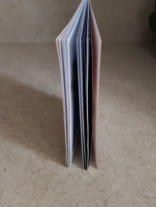 Tim persigue un gato (Los Cinco Historias Corta...