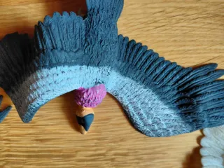 Colección 5 Figuras de Aves