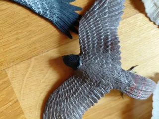 Colección 5 Figuras de Aves