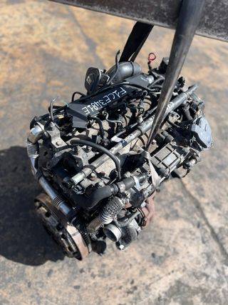 Motor 3.0 F1CE3481E