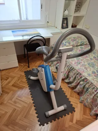 Bicicleta Estática Azul y Gris Domyos VM200