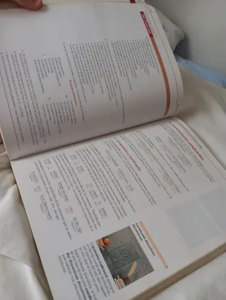 Lengua castellana y Literatura 1º Bachillerato