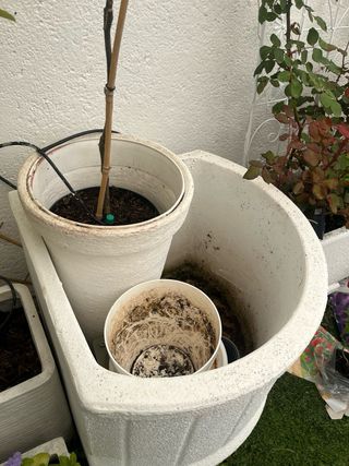Jardinera de piedra blanca con ruedas