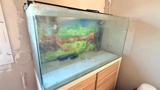 Acuario Fluval 140L con mueble