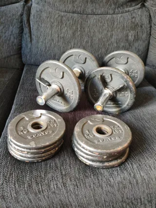 2 Mancuernas Domyos 10kg