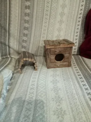 Pecera o terrario más regalo