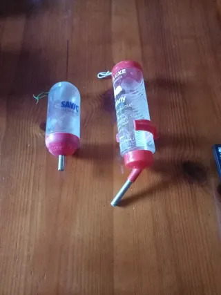 Pecera o terrario más regalo