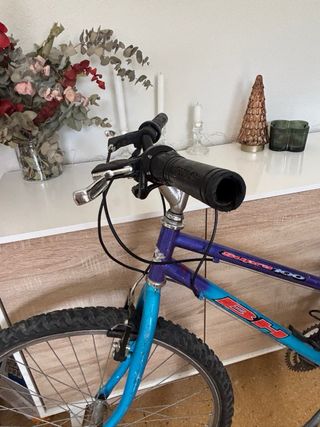 Bicicleta de Montaña BH