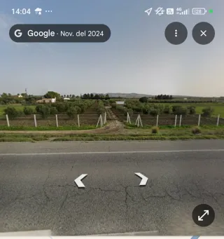 Finca con olivos