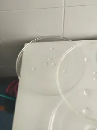 Platos de microondas de cristal