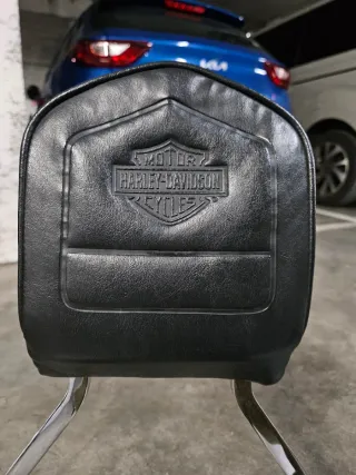 Respaldo Harley Davidson Dyna Willie G Skull