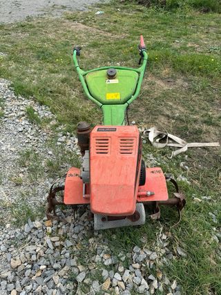 AGRIA MOTOAZADA 3001 DESPIECE