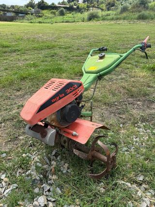 AGRIA MOTOAZADA 3001 DESPIECE