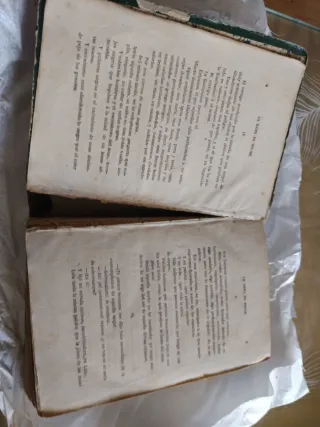 Libro La Dama de Noche .Año 1865 .