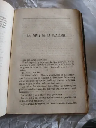 Libro La Dama de Noche .Año 1865 .