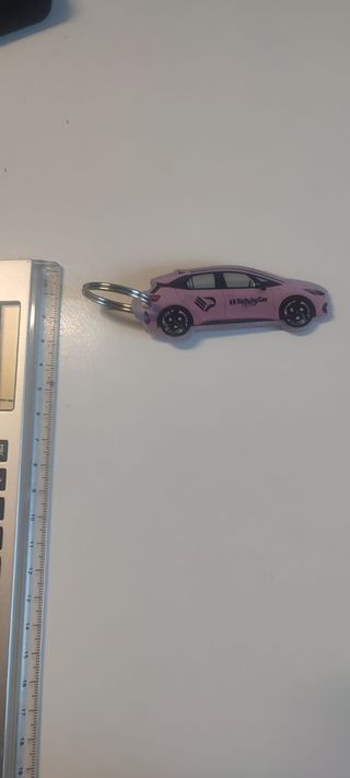 Portachiavi sponsor Palermo Calcio