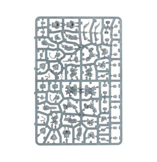 5 Einhyr Hearthguard en matriz