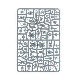 5 Einhyr Hearthguard en matriz