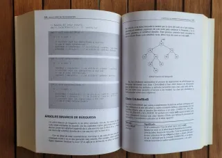 Libro: Java 2. Curso de programación.