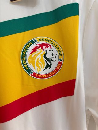 Camiseta Fútbol Senegal Puma 2024 Original