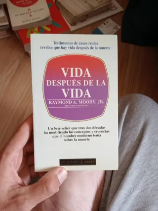 Vida después de la vida