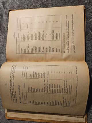 Gramática da Língua Pátria, Pires de Castro