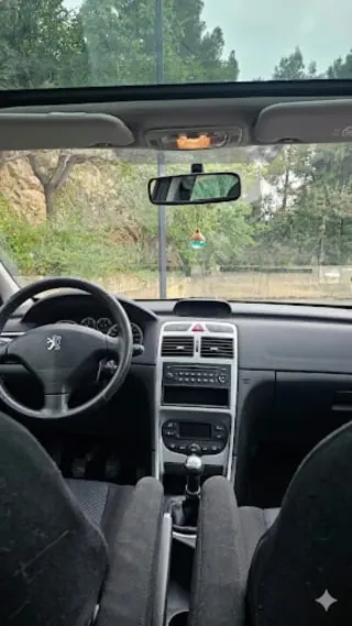 Peugeot 307 2004