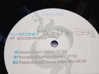 Vinilo CJ Stone - Into The Sea