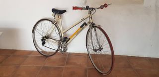 Bicicleta Coralin Amateur