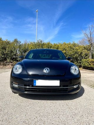 Volkswagen Beetle Cup