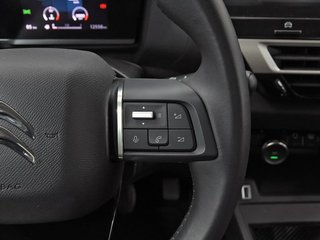 Citroën C4 X PureTech 100 S&S 6v You