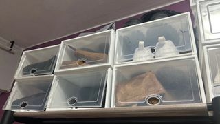 Cajas organizadoras de zapatos transparentes