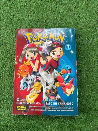 POKEMON 09: Rubí y zafirio 01 (Spanish Edition)