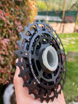 Cassetta Pignoni Spedao 11/32 12 Velocità