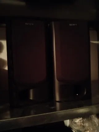Altavoces Sony Negros y Marrones