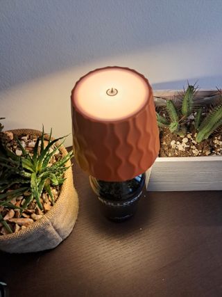 Lampada Bulldog Gin Bottiglia Vetro