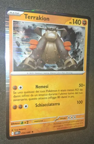 Carte Pokémon Terrakion