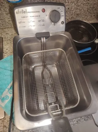 Freidora Fritel Profesional 3L 2000W