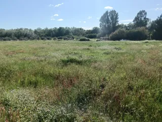 Finca Rústica de Secano.