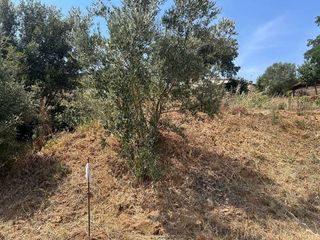 Terreno en venta en Montornès del Vallès