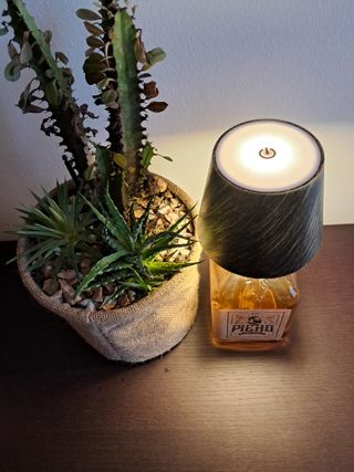 Lampada Bottiglia Gin Piero Vetro