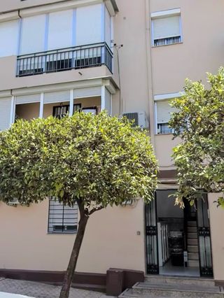 Alquiler de Piso Alcalá de Guadaíra