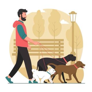 Paseador de perro en San sebastián.