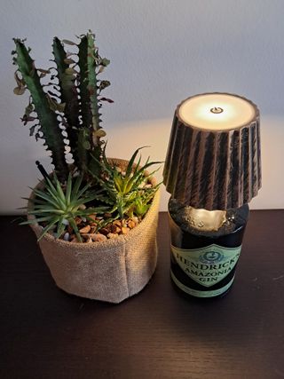 Lampada Bottiglia Gin Hendrick's Amazonia Vetro