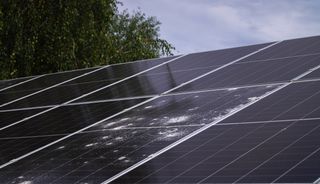 Limpiador profesional para paneles solares!!