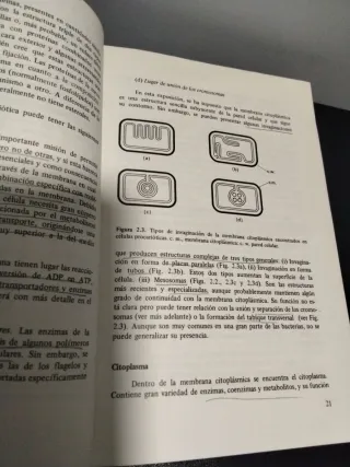 Introducción a la Microbiología