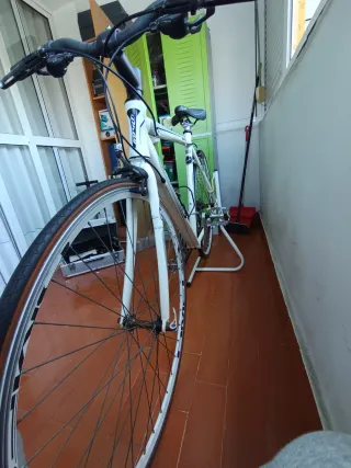Bicicleta Drag Blade.