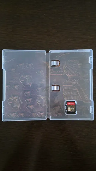 Zelda Tears of the Kingdom Nintendo Switch